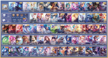 Acc VIP6004