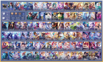 Acc VIP6354