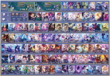 Acc VIP6797